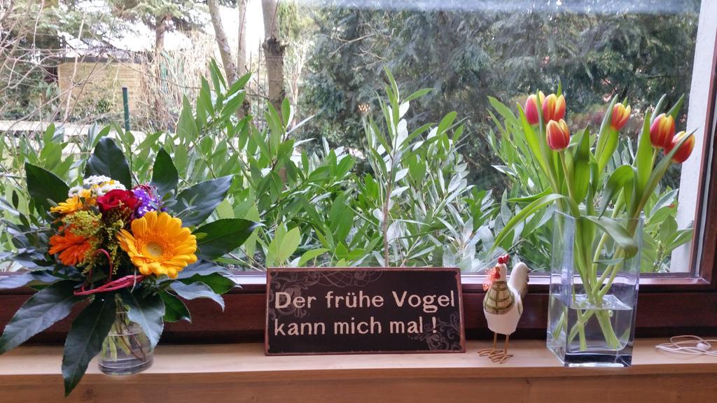 Gaestehaus Sonnenhuegel Möhnesee Oda fotoğraf